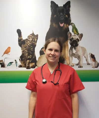 Przychodnia weterynaryjna Medicot lek.wet. Paweł Olewiński